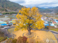 경남 함양 가볼 만한 곳, 지리산 자락 가을 풍경 속 쉼표