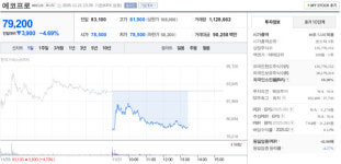 에코프로, 11월 21일 장중 79,200원 기록 4.69% 내림세