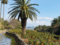 이랜드파크 켄싱턴호텔앤리조트, 겨울방학 농장 체험 숙박 패키지 확대