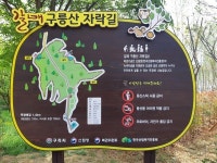 구리시, 도시 품격 높이는 그린 인프라 전략 통했다