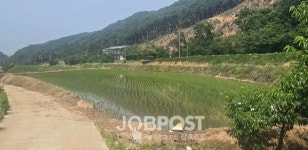 세종시 전동면사무소, 농경지 불법 성토 불구 봐주기식 탁상행정 의혹