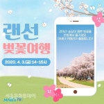놓칠수 없는 마포구 벚꽃, 집에서 만나요