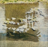 한원미술관 젊은 한국화 작가 지원展, 권세진ㆍ진희란 전시