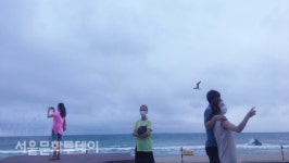 서울시청 시민청 운영 재개, 전시‧공연 프로그램 온라인 공개