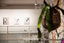 이런 신선한 조합이란, OCI미술관 깍지展 개최