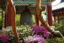 [천호선의 포토 에세이 82] 성북동 길상사(吉祥寺)