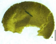 경복궁 대형화장실 발굴, 150여 년 전 정화 시설 우리나라가 유일