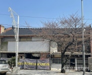 문화재청, 「로제타 홀 한글점자 교재」 문화재 등록 예고