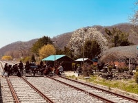 한국문화예술교육진흥원, 꿈의 오케스트라 프로젝트 거점지역 공연 성료