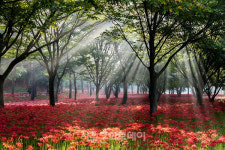 한국관광공사, 2023 열린관광지 공모 사업 선정지 발표