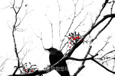 정상기 사진작가, 와우갤러리서 열번째 초대전... 同心合力 그리고 希望 展 개최