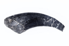 보호 사각지대 놓여 있던 지질유산, 문화재청 관리 나서