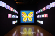 미디어아트, 현대미술을 넘어 미래로…오산시립미술관 《변화와 변환》展