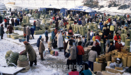 [정영신의 장터이야기 102]세계인이 찾아오는 오일장을 꿈꾸며 ...