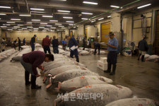 [정영신의 장터이야기 102]세계인이 찾아오는 오일장을 꿈꾸며 ...