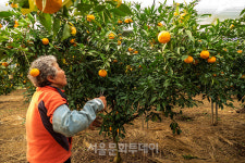 [정영신의 장터이야기 113]우주로 가는 땅, 장터에 남은 시간
