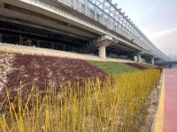 [포토] 중랑천변 자전거도로