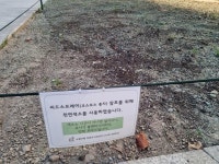 [포토] 가을 기다리는 당현천의 씨앗