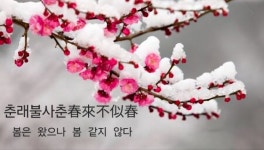 이형로의 고사성어로 보는 세상](132) 春來不似春(춘래불사춘) 설니홍조(雪泥鴻爪)