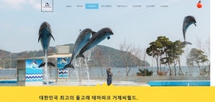 [인터뷰]벨루가 논란 거제씨월드의 목소리를 들어보다. 
