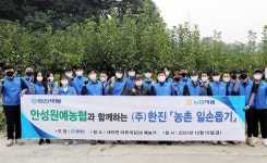 ㈜한진 임직원, 수확기 과수농가 찾아 일손돕기 봉사활동