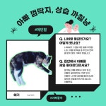 제1화, 우리집 가족들을 소개합니다 [하이영! 야옹!]