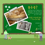 제6화, 0교시 봄맞이 낮잠시간 [하이영! 야옹!]