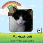 제12화, 무지개다리 너머 [하이영! 야옹!]