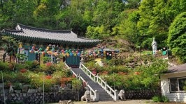 에너지 충전소 봉제산둘레길 [뻐꾸기의 山行]