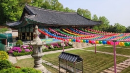 다양한 매력이 공존하는 개화산둘레길 [뻐꾸기의 山行]