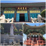 초록빛깔 터널 숲 백련산숲길 [뻐꾸기의 山行]