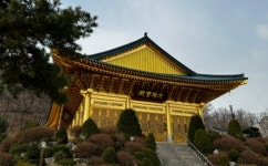 더위를 잊게 하는 봉산해맞이길 [뻐꾸기의 山行]