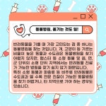 제19화, 동물병원 어디로 가야 하나요? [하이영! 야옹!]