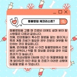 제19화, 동물병원 어디로 가야 하나요? [하이영! 야옹!]