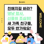 제21화, 3은 세상에서 가장 완벽한 숫자 [하이영!야옹!]