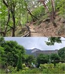 하늘과 맞닿은 철쭉동산을 품고 있는 불암산 힐링타운 순환산책로 [뻐꾸기의 山行]