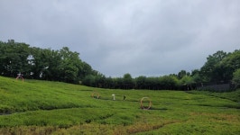 하늘과 맞닿은 철쭉동산을 품고 있는 불암산 힐링타운 순환산책로 [뻐꾸기의 山行]