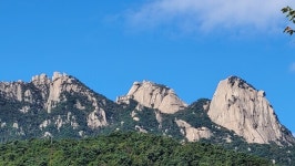 솔향기 가득한 북한산소나무숲길 [뻐꾸기의 山行]