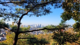 가을이 익어가는 소리로 충만한 아차산동행길과 둘레길 [뻐꾸기의 山行]