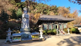관악산과 서울대의 정기를 받으며 걷는 관악산둘레길 [뻐꾸기의 山行]