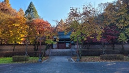 관악산과 서울대의 정기를 받으며 걷는 관악산둘레길 [뻐꾸기의 山行]