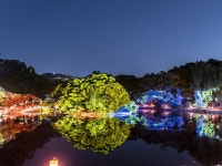 빛으로 물든 창경궁의 밤…창경궁 물빛연화 내달부터 운영