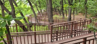 다양한 숲길을 걷는 즐거움 오금공원 순환산책길 [뻐꾸기의 山行]