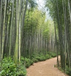 해상케이블카·순천만국가정원·오동도유람선·죽녹원 [이 구역 핫플⑦ 광주·전남] 