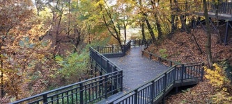 숲길과 물길의 만남 영축산 순환산책로와 우이천 산책로 [뻐꾸기의 山行]