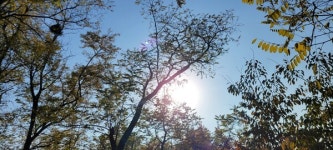 숲길과 물길의 만남 영축산 순환산책로와 우이천 산책로 [뻐꾸기의 山行]
