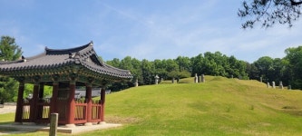활기찬 생동감을 만끽할 수 있는 불암산 더불어숲 순환산책로 [뻐꾸기의 山行]