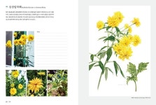 72가지 식물을 그림과 글, 사진으로 만날 수 있는 보타니컬아트북