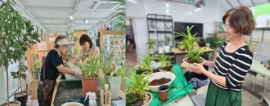 “아픈 식물, 병원으로 오세요” 서울시, ‘반려식물클리닉’ 확대