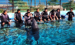 구례군, 장애인 단기 스포츠 체험강좌 성료